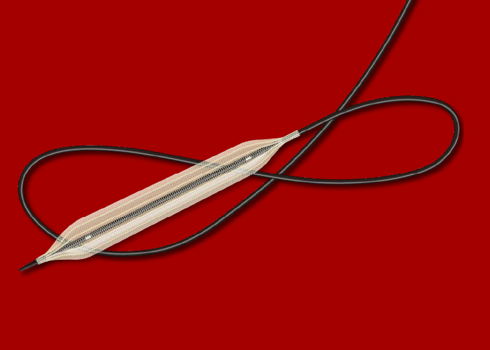 “卡內卡”經皮穿腔成型術用導管KANEKA PTA Balloon Catheter PE-W6